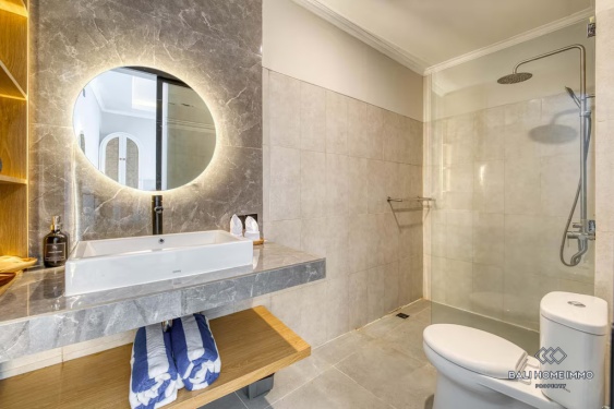 Image 18 from Charming 2 Bedroom Villa for Sale Leasehold between Canggu and Kerobokan