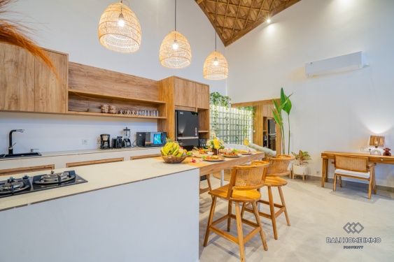 Image 10 from Charming 2 Bedroom Villa for Sale Leasehold in Bali Canggu Residential Side