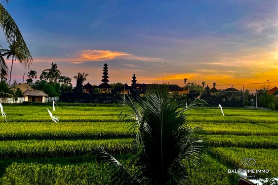 Image 15 from Charmante villa de 2 chambres à vendre à Cemagi