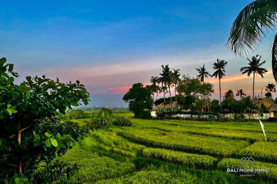 Image 16 from Charmante villa de 2 chambres à vendre à Cemagi