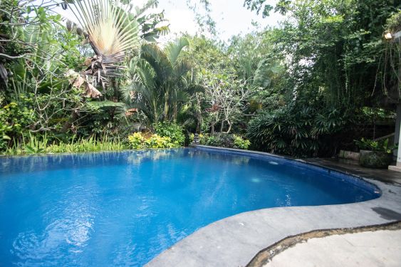 Image 3 from Charming 3 Bedroom Villa for Rental in Bali Kerobokan