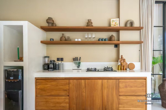 Image 8 from Vila 3 Kamar yang Menawan untuk Disewa di Pererenan, Bali, Sisi Utara