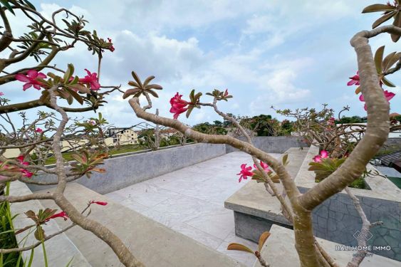 Image 11 from Charming 3 Bedroom Villa for Sale Freehold in Bali Canggu Berawa