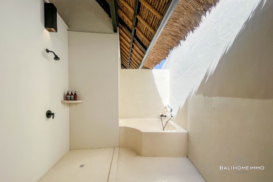 Image 9 from Charming 3 Bedroom Villa for Yearly Rental in Bali Seminyak