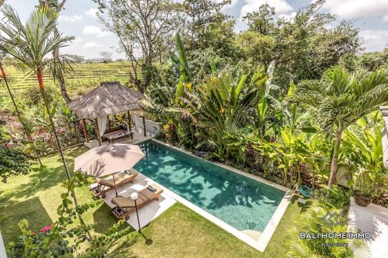 Image 15 from VILLA 4 KAMAR TIDUR YANG MENAWAN UNTUK DISEWAKAN DI BALI CANGGU