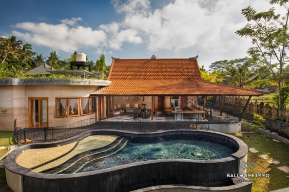 Image 19 from Charming 4 bedroom villa for sale in Ubud