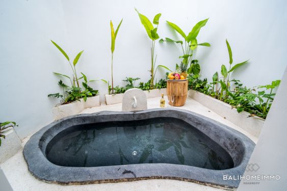 Image 17 from Charmante villa de 5 chambres à vendre et à louer à Umalas Bali