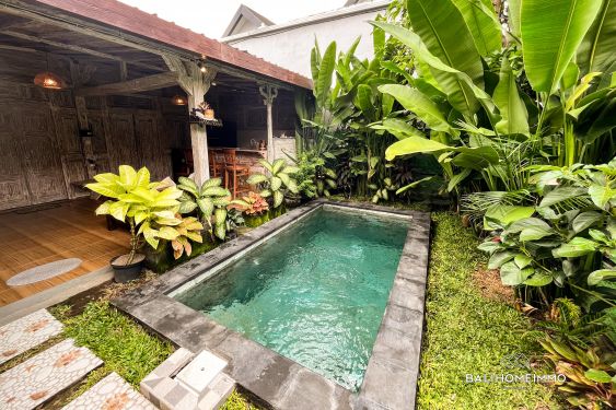Image 1 from Charmante villa Joglo de 2 chambres à louer à Kerobokan Bali