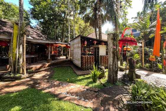 Image 6 from Commercial Space fo rent in Canggu