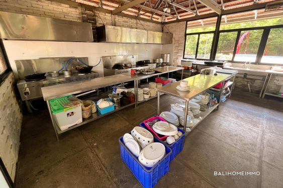 Image 4 from Commercial Space fo rent in Canggu