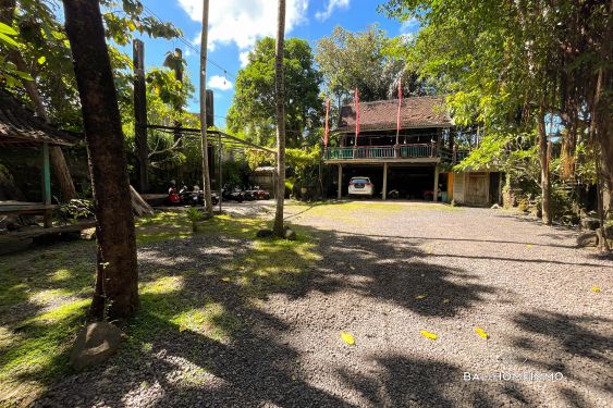 Image 7 from Commercial Space fo rent in Canggu