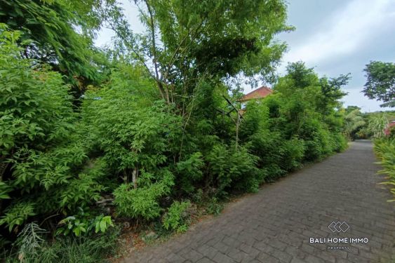 Image 4 from TERRAIN COMMERCIAL EN BORD DE RUE À VENDRE À BAIL PRÈS DE BINGIN ULUWATU