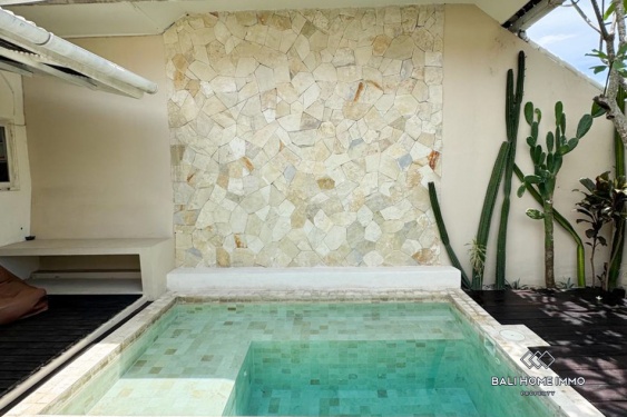 Image 13 from Vila 1 Kamar Tidur yang Nyaman untuk Disewakan di Bali Canggu