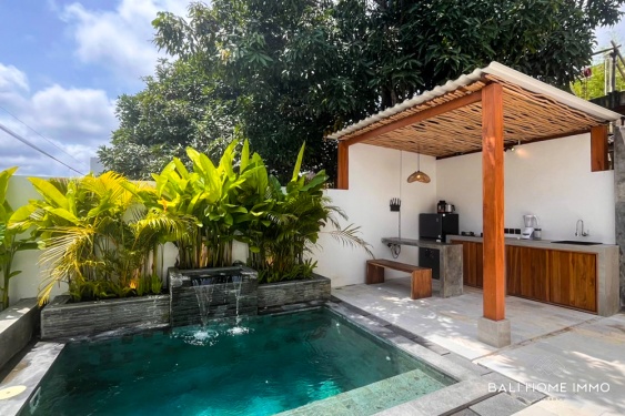 Image 1 from VILLA CONFORTABLE DE 1 CHAMBRE À VENDRE EN PROPRIÉTÉ FONCIÈRE À UNGASAN