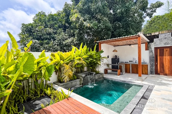 Image 3 from VILLA NYAMAN DENGAN 1 KAMAR TIDUR DIJUAL DI UNGASAN