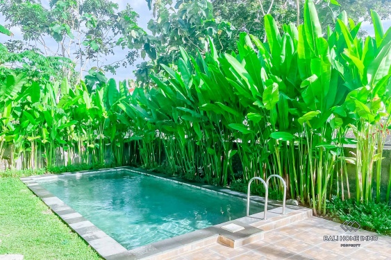 Image 1 from COZY 1 BEDROOM VILLA FOR YEARLY AND MONTHLY RENTAL IN BALI - BINGIN
