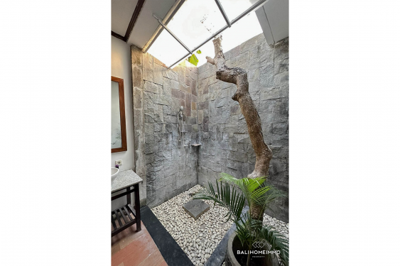 Image 8 from COZY 2 BEDROOM VILLA FOR RENT IN KEROBOKAN