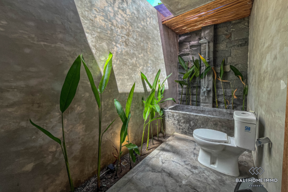 Image 13 from VILLA 2 KAMAR YANG NYAMAN DISEWAKAN DI SEMINYAK BALI