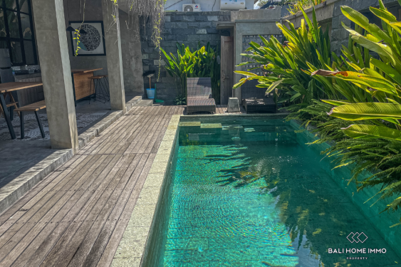 Image 14 from VILLA 2 KAMAR YANG NYAMAN DISEWAKAN DI SEMINYAK BALI