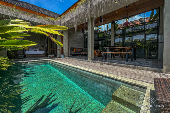 Image 15 from VILLA 2 KAMAR YANG NYAMAN DISEWAKAN DI SEMINYAK BALI