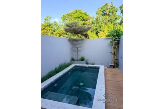 Cozy 2 Bedroom Villa for Sale and Rent in Jimbaran