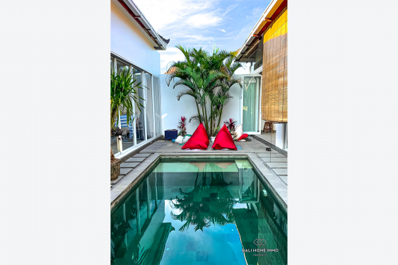 Image 3 from Cozy 2 Bedroom Villa for Sale & Rental in Bali Kerobokan