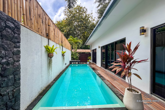 Image 2 from COZY 2 BEDROOMS VILLA FOR SALE & RENT IN BALI - UNGASAN