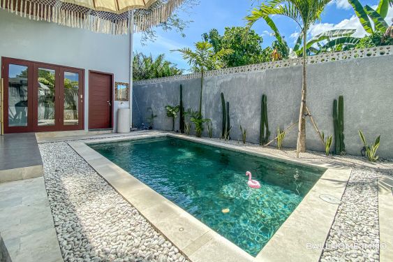 Image 1 from Cozy 3 Bedroom Villa for Rentals in Bali Munggu