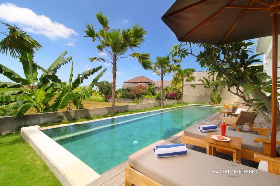 Image 2 from Disewakan Vila 4 Kamar dengan taman dan view sawah di Berawa
