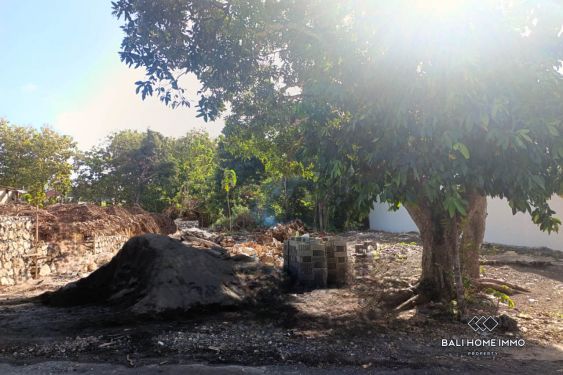 Image 4 from Terrains résidentiels exclusifs à vendre à Ungasan