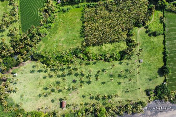 Image 5 from Tanah Beachfront Dijual di Pantai Balian Tabanan Bali