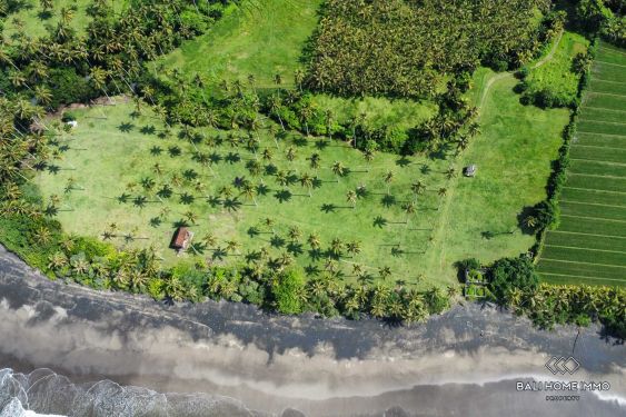 Image 7 from Tanah Beachfront Dijual di Pantai Balian Tabanan Bali
