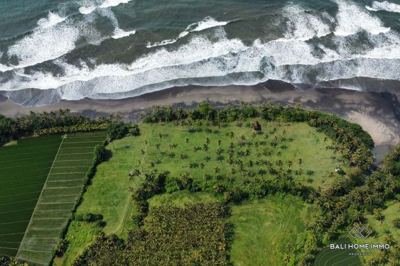 Image 9 from Tanah Beachfront Dijual di Pantai Balian Tabanan Bali