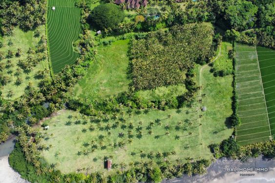 Image 6 from Tanah Beachfront Dijual di Pantai Balian Tabanan Bali