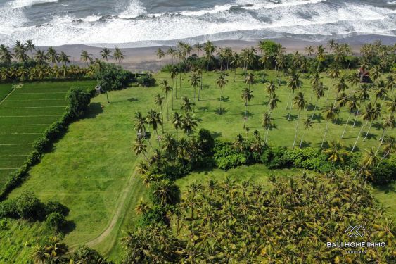Image 8 from Tanah Beachfront Dijual di Pantai Balian Tabanan Bali