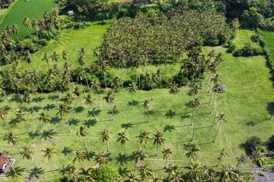 Image 4 from Tanah Beachfront Dijual di Pantai Balian Tabanan Bali