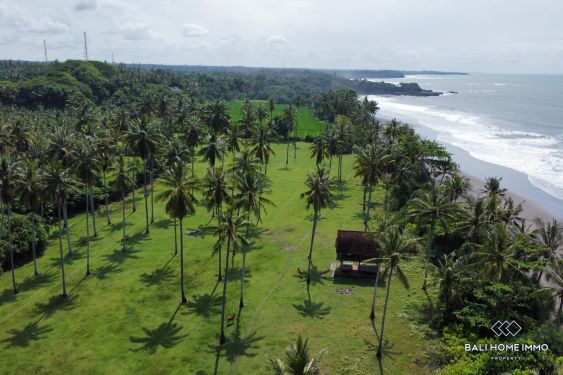 Image 11 from Tanah Beachfront Dijual di Pantai Balian Tabanan Bali