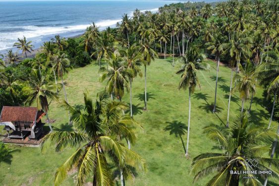 Image 10 from Tanah Beachfront Dijual di Pantai Balian Tabanan Bali