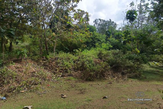 Image 4 from Tanah Hunian Zonasi Dijual dengan Harga Terbaik, Hak Sewa di Balangan