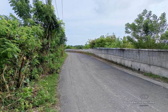 Image 10 from GOOD DEALS RESIDENTIAL ZONING LAND FOR SALE LEASEHOLD IN UNGASAN