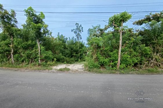 Image 13 from GOOD DEALS RESIDENTIAL ZONING LAND FOR SALE LEASEHOLD IN UNGASAN