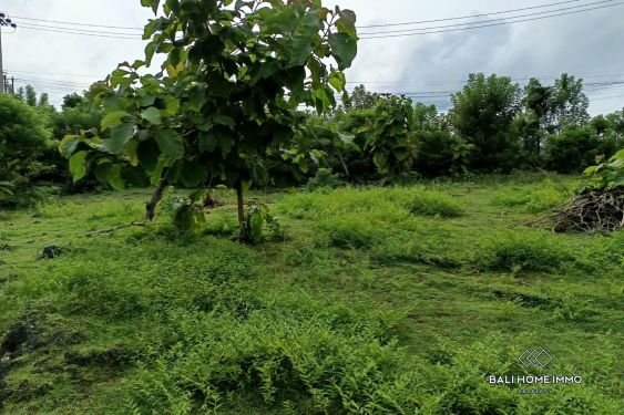 Image 8 from GOOD DEALS RESIDENTIAL ZONING LAND FOR SALE LEASEHOLD IN UNGASAN