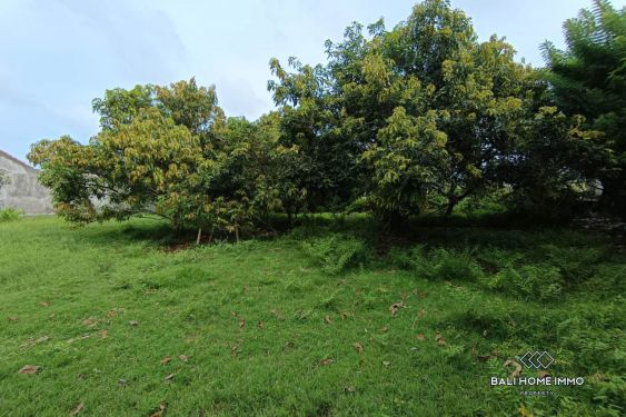 Image 7 from GOOD DEALS RESIDENTIAL ZONING LAND FOR SALE LEASEHOLD IN UNGASAN