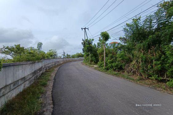 Image 12 from GOOD DEALS RESIDENTIAL ZONING LAND FOR SALE LEASEHOLD IN UNGASAN