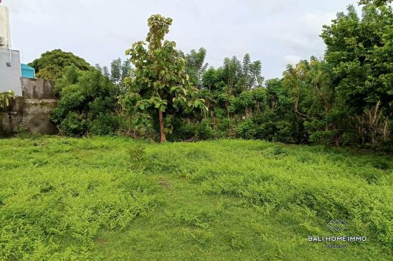 Image 6 from GOOD DEALS RESIDENTIAL ZONING LAND FOR SALE LEASEHOLD IN UNGASAN