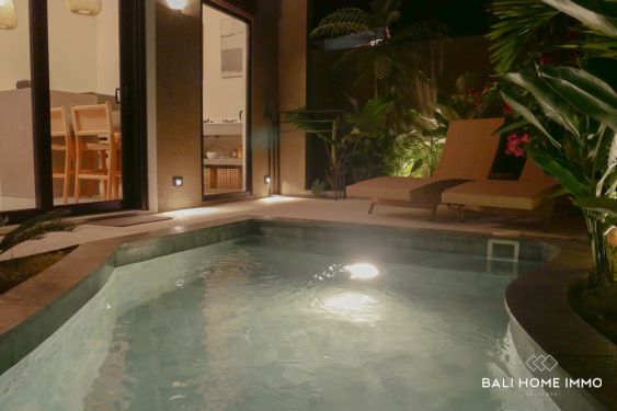 Image 13 from GOOD INVESTMENT 1 BEDROOM VILLA FOR SALE LEASEHOLD IN UNGASAN