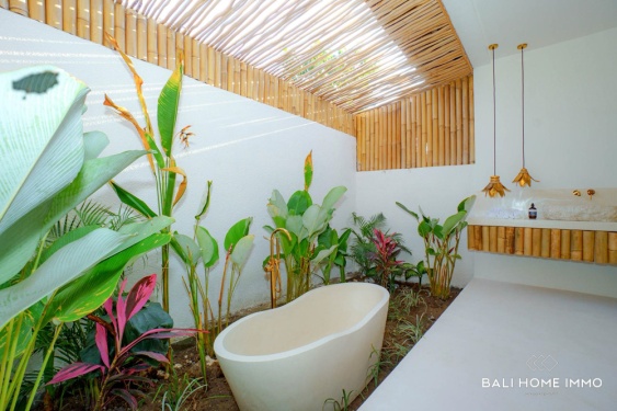 Image 14 from BONNE OPPORTUNITÉ D'INVESTISSEMENT : VILLA BOUTIQUE DE 8 CHAMBRES À VENDRE EN BAIL À NYANG NYANG