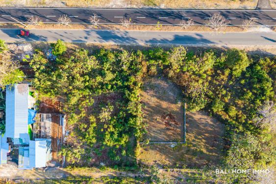 Image 2 from Good Investment Commercial Street-Front Land for Sale Leasehold in Pandawa