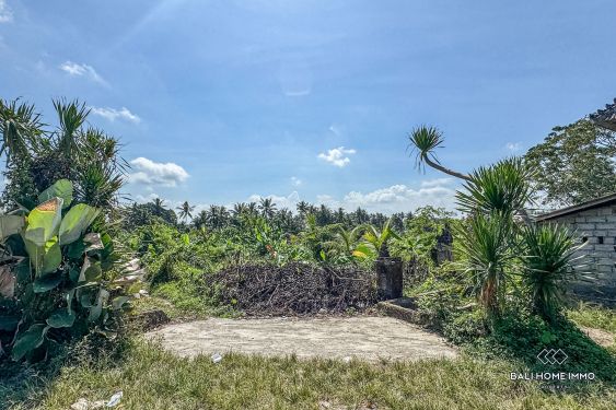 Image 2 from Green belt view land for sale leasehold in Bali Kemenuh near Ubud