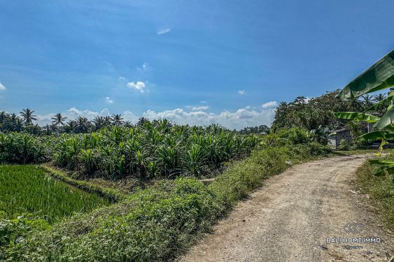 Image 4 from Green belt view land for sale leasehold in Bali Kemenuh near Ubud